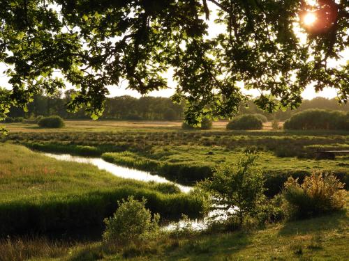 a river in a field with the sun setting at Herberg De Eexter Os in Eext