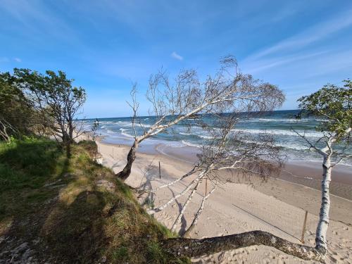 een zandstrand met bomen en de oceaan bij Apartament nad klifem w Dziwnówku in Dziwnówek