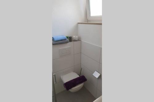 Elle comprend une petite salle de bains pourvue de toilettes et d'une fenêtre. dans l'établissement Ferienwohnung Charlotte Seebrise, à Friedrichshafen