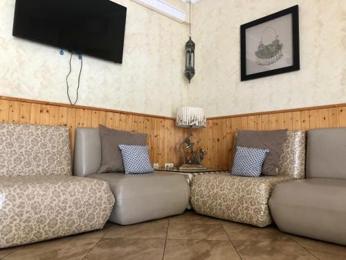 sala de estar con 2 sofás y TV de pantalla plana en Hotel Ancla, en Oropesa del Mar