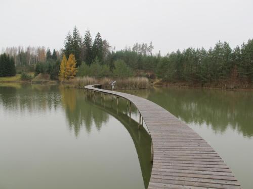 a wooden bridge over a body of water at Dzeņi in Amatciems