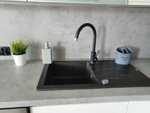 Apartament Dino