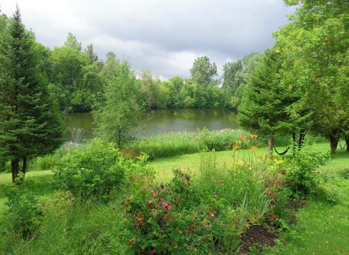 un jardin avec un lac en arrière-plan dans l'établissement Motel des Deux Lacs, à Waterloo