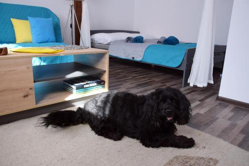 a black dog laying on the floor in a bedroom at Apartament Górnicza w Kowarach in Kowary