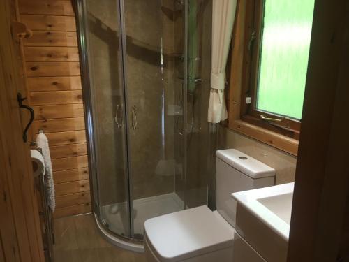 a bathroom with a shower and a toilet and a sink at Chalet 2 in Tyndrum