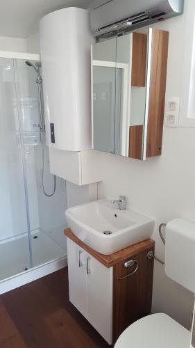 a bathroom with a sink and a shower at House Boat - Floating House Sofia in Pula