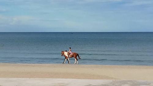 a person riding a horse on the beach at Baanchomchan in Hua Hin