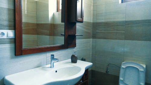a bathroom with a sink and a mirror at Pensiunea Valea Muntelui in Bîrsana