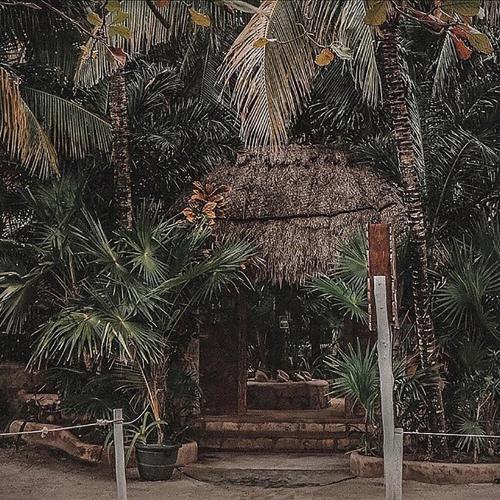 a building with a bunch of palm trees at La Conchita Tulum in Tulum
