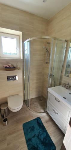 a bathroom with a shower and a toilet and a sink at Villa Monciske in Palanga