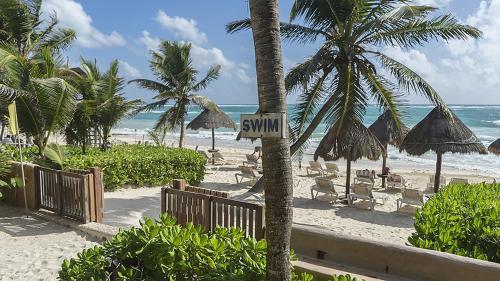 a sign on a palm tree on a beach at La Conchita Tulum in Tulum
