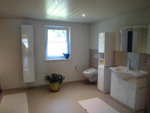 a bathroom with a sink and a toilet and a window at Ferienwohnung Maari in Hittisau
