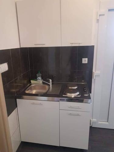 a small kitchen with a sink and a stove at Sabljak in Kornić