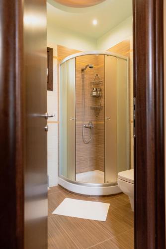 a bathroom with a shower and a toilet at Karavos Grove in Káto Lekhónia