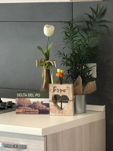 a table with potted plants and a tv on it at Mare&Terra... Alloggi nel Delta in Polesine Camerini