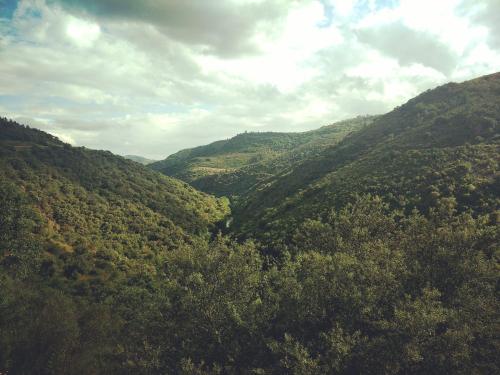 una vista aérea de un valle de montaña con árboles en Casa de Pimenteis en Vimioso