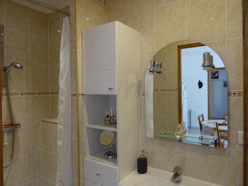 een badkamer met een douche, een wastafel en een spiegel bij La vigne sous les pins in Castagniers