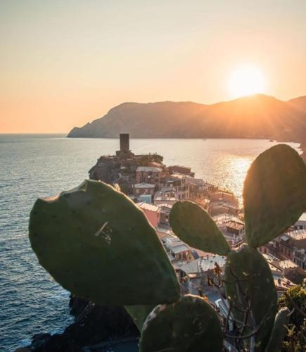 a view of a town on the water with a cactus at Sea & Culture - 5 Terre La Spezia in La Spezia