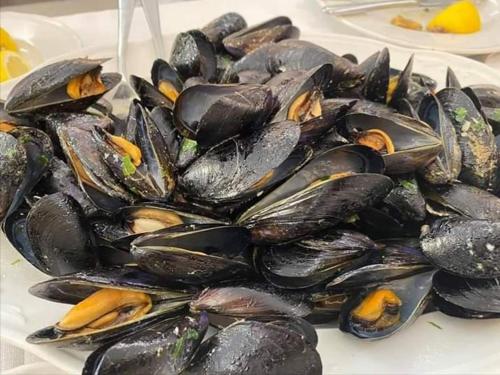 a pile of mussels on a plate on a table at Sea & Culture - 5 Terre La Spezia in La Spezia