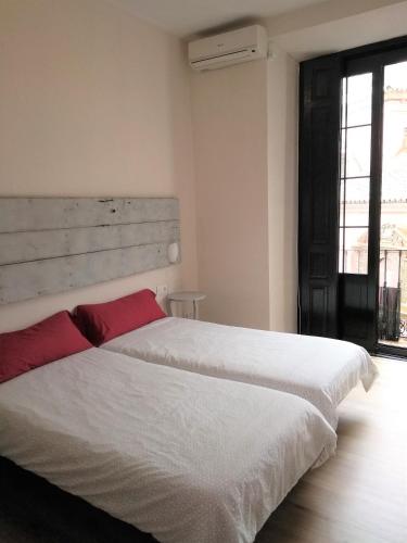 Apartamento Centro Santa Catalina 1º B