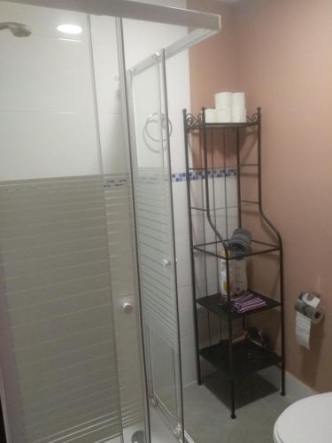 y baño con ducha y puerta de cristal. en Apartamento Centro Santa Catalina 1º B, en Sevilla