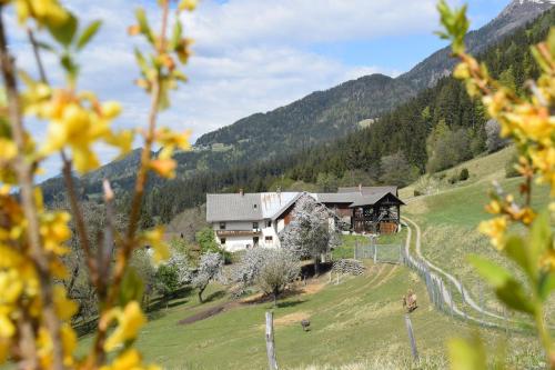 a house in the middle of a grassy field at Ferienwohnung Wieserberg in Dellach