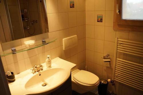 La salle de bains est pourvue d'un lavabo et de toilettes. dans l'établissement Appartement Claude, à Châtillon