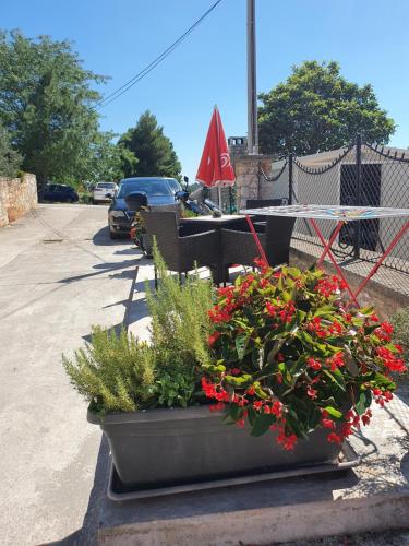 Gallery image of Apartment Manu in Pula