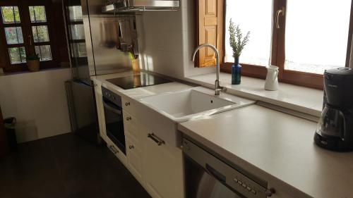 A kitchen or kitchenette at FORJAS DE ORZALES