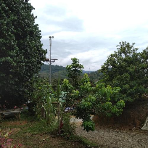 a view of a park with trees and a street light at Homestay Kak soh at KampungKalai, Jeli Kelantan in Jeli