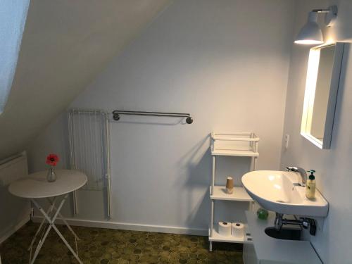Vonios kambarys apgyvendinimo įstaigoje Nordby Kro