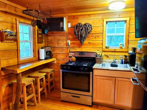 uma cozinha com um fogão e um lavatório numa cabina em Lil' Log at Hearthstone Cabins and Camping - Pet Friendly em Helen