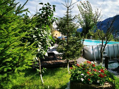 a garden with a bench and flowers next to a pool at Vila Alunis in Buşteni
