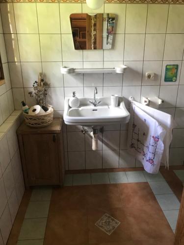 ein Bad mit einem Waschbecken und einem Spiegel in der Unterkunft Getreidekasten auf einer Lamafarm in Oberndorf an der Melk