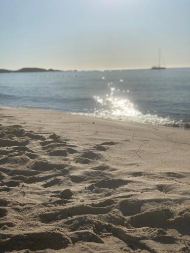 Naturlandskabet i nærheden af bed and breakfast-stedet