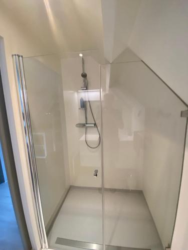 una ducha con puerta de cristal en un baño en Aan de Vecht, en Nederhorst den Berg