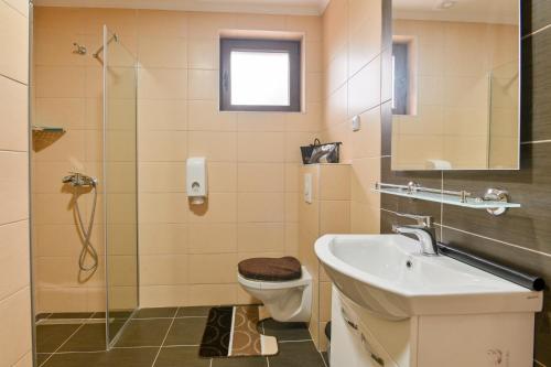 a bathroom with a toilet and a sink and a shower at Apartment White Bear in Zlatibor