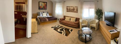 ein Wohnzimmer mit einem Sofa und einem TV in der Unterkunft Hotel Algar in Opava