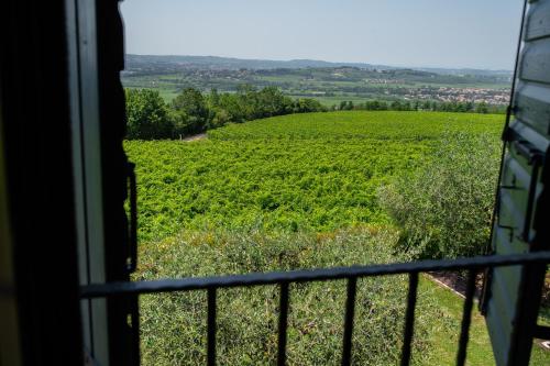 a view of a vineyard from a window at Villa Vitis in Negrar