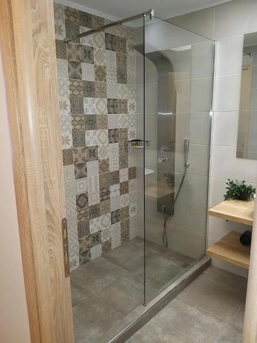 a shower with a glass door in a bathroom at Amazing Apartments @ Monastiraki Subway Station in Athens