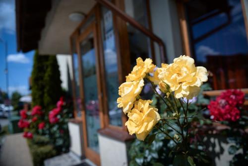 a vase filled with yellow flowers in front of a window at Pension Panorama in Odorheiu Secuiesc