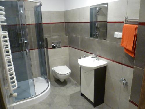 a bathroom with a toilet and a shower and a sink at Klimatyczny Domek - Apartamenty & Noclegi in Sławęcin