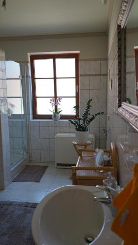 Jesewitz的住宿－Rittergut zu Groitzsch，一间带水槽、窗户和浴缸的浴室