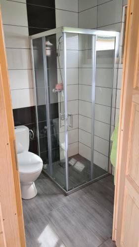 a bathroom with a toilet and a glass shower stall at ZYGAdomki , komfortowe Domki 7 minut od plaży - idealne dla rodzin z dziećmi in Gąski