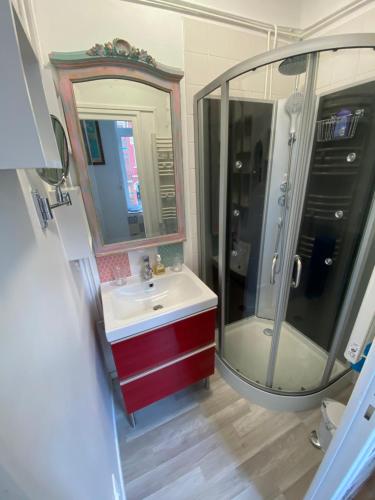 uma casa de banho com um lavatório, um chuveiro e um espelho. em VILLA JULIETTE em Dunkerque