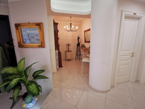 Φωτογραφία από το άλμπουμ του Residenza Borbonica στη Νάπολη