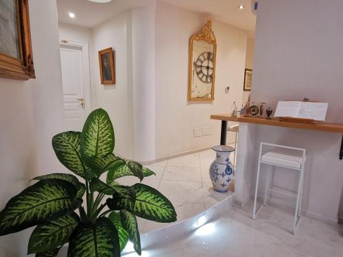 una planta grande en una habitación con chimenea en Residenza Borbonica en Nápoles