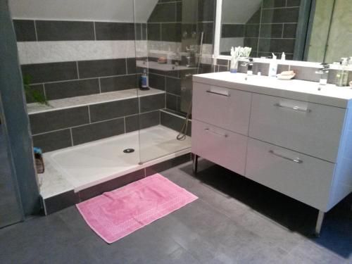 La salle de bains est pourvue d'une douche, d'un lavabo et d'une baignoire. dans l'établissement Chez Lydie et Jean Paul, à Vignoux-sur-Barangeon