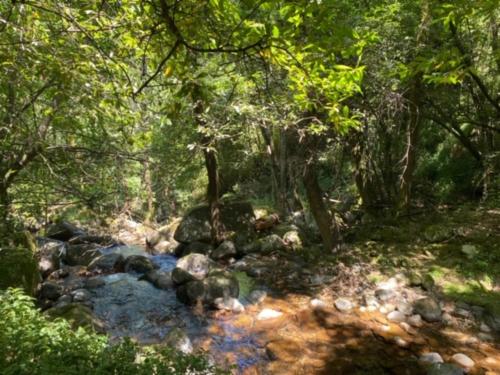 Naturlandskabet i nærheden af feriehuset