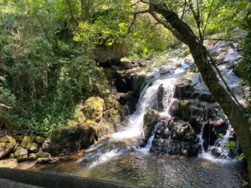 Naturlandskabet i nærheden af feriehuset